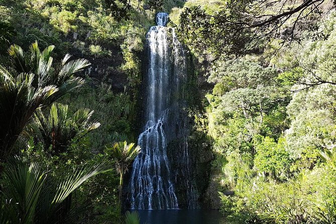 Private Tour: Auckland City and Countryside Tour - Operational Considerations