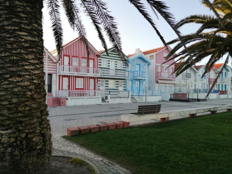 Private Tour Bairrada & Aveiro - Van Transfers and Duration