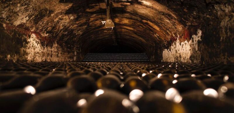Private Tour Bairrada & Aveiro - Activities in Bairrada DOC
