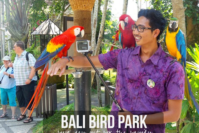 Private Tour Bali Bird Park And Ubud Tour - Tour Overview