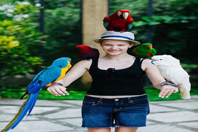 Private Tour Bali Bird Park And Ubud Tour - Pickup and Dropoff Details