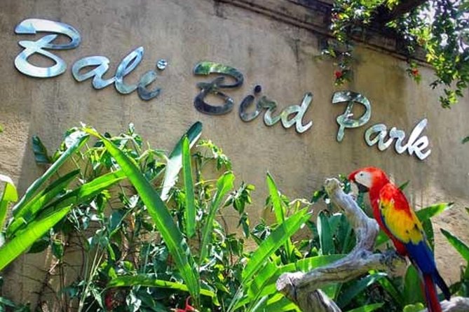 Private Tour Bali Bird Park And Ubud Tour - Suggested Itinerary