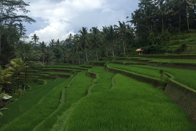 Private Tour: Bali Heritage Sites - Reviews and Ratings
