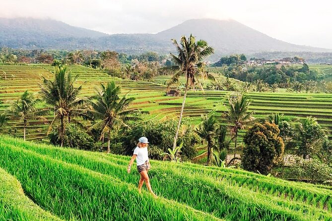 Private Tour: Bali UNESCO World Heritage Sites - Participation and Accessibility