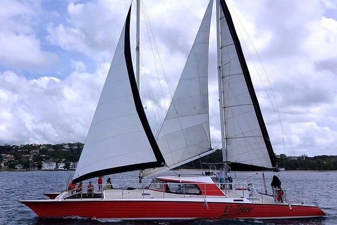 Private Tour: Barbados Catamaran Snorkeling Cruise - Relaxation and Lunch