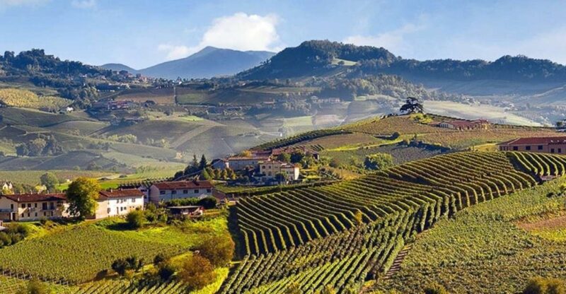 Private Tour: Barolo Wine Tasting in Langhe Area From Torino - Wine Experience