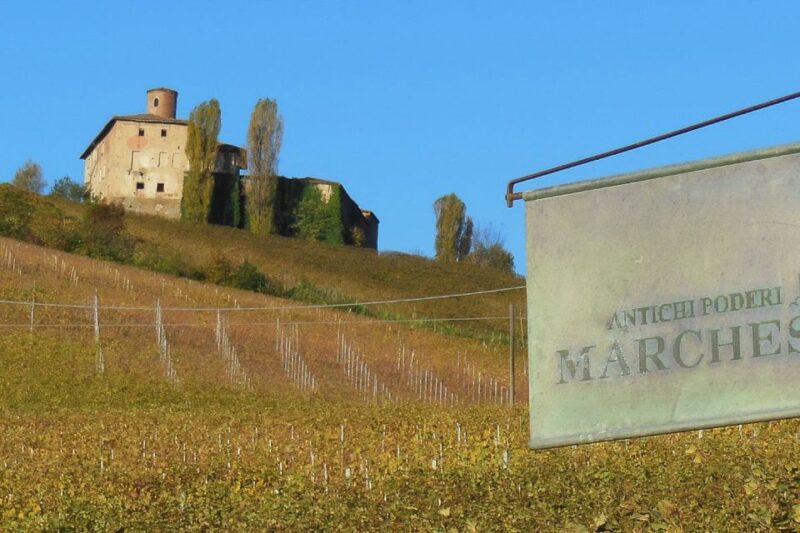 Private Tour: Barolo Wine Tasting in Langhe Area From Torino - Inclusions
