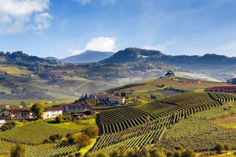 Private Tour: Barolo Wine Tasting in Langhe Area From Torino - Customer Reviews and Recommendations