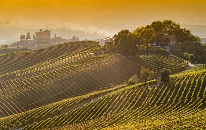 Private Tour: Barolo Wine Tasting in Langhe Area From Torino - Half-Day Tour Itinerary