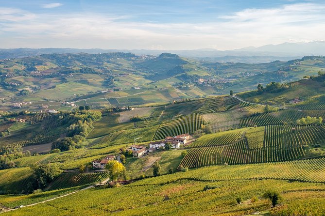 Private Tour: Barolo Wine Tasting in Langhe Area From Torino - Full-Day Tour Itinerary