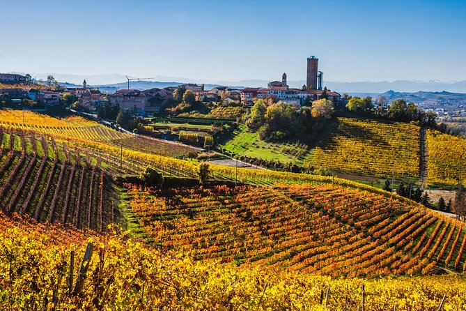Private Tour: Barolo Wine Tasting in Langhe Area From Torino - Tour Reviews and Ratings