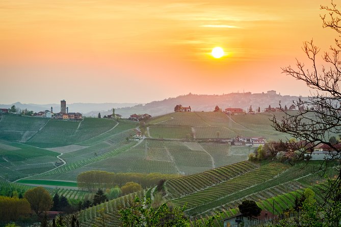 Private Tour: Barolo Wine Tasting in Langhe Area From Torino - Customizable Options