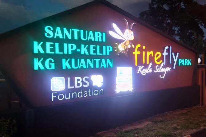 Private Tour Batu Caves,Wonderful Fireflies,Eagles and Silvered Leaf Monkey - Encountering Majestic Eagles in Flight