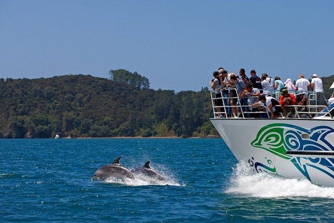 Private Tour: Bay of Islands Day Trip From Auckland - Inclusions and Transportation