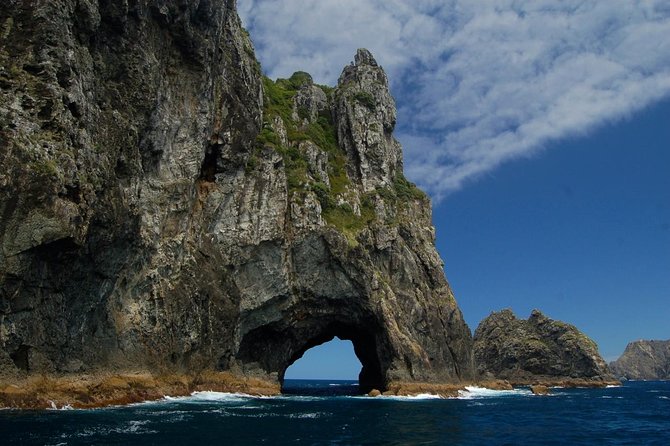 Private Tour: Bay of Islands Day Trip From Auckland - Accessibility and Requirements