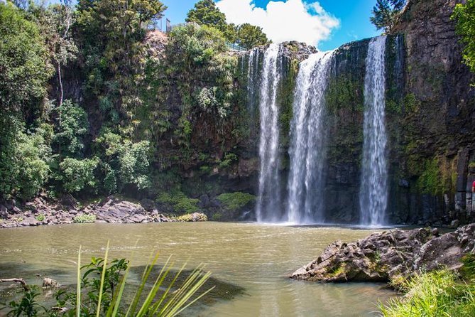 Private Tour: Bay of Islands Day Trip From Auckland - Exploring Parry Kauri Park