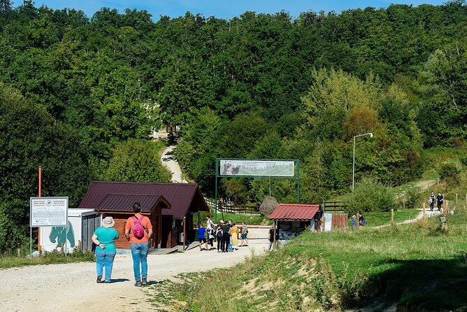 Private Tour Bear Sanctuary & City of Brasov One Day Trip - Tickets Included - Exploring Brasov