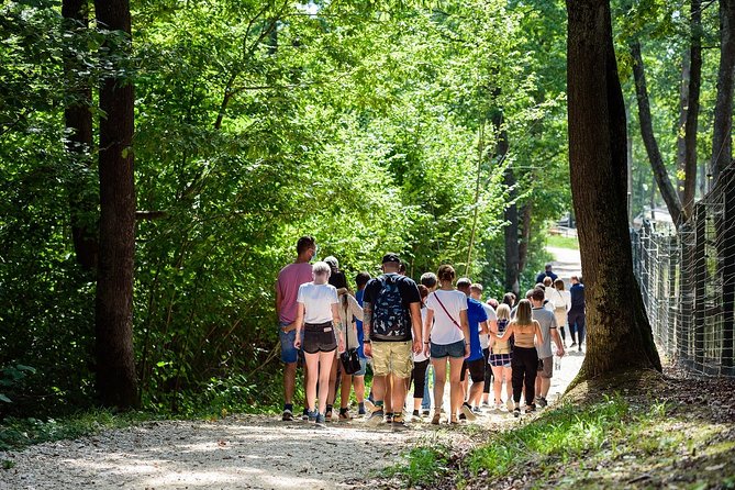 Private Tour Bear Sanctuary & City of Brasov One Day Trip - Tickets Included - Frequently Asked Questions