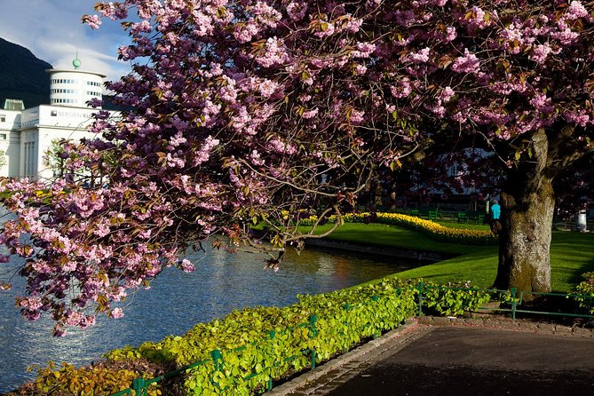 PRIVATE Tour: Bergen City Sightseeing, 5 Hours - Itinerary and Activities