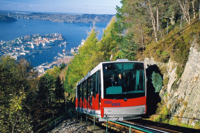 PRIVATE Tour: Bergen City Sightseeing, 5 Hours - Bergenhus Fortress