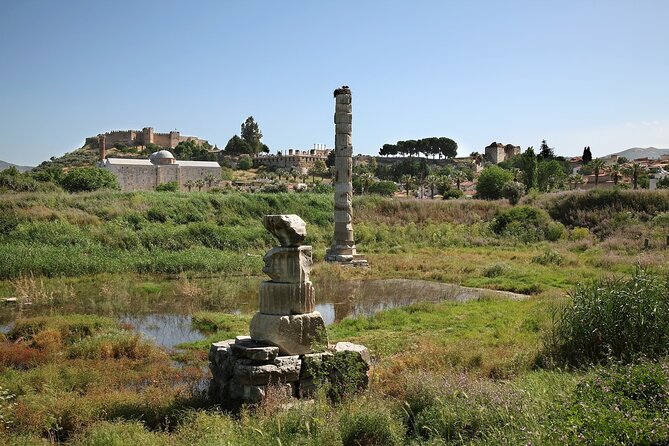 Private Tour: Best of Ephesus for Cruise Passengers. - Reviews and Ratings