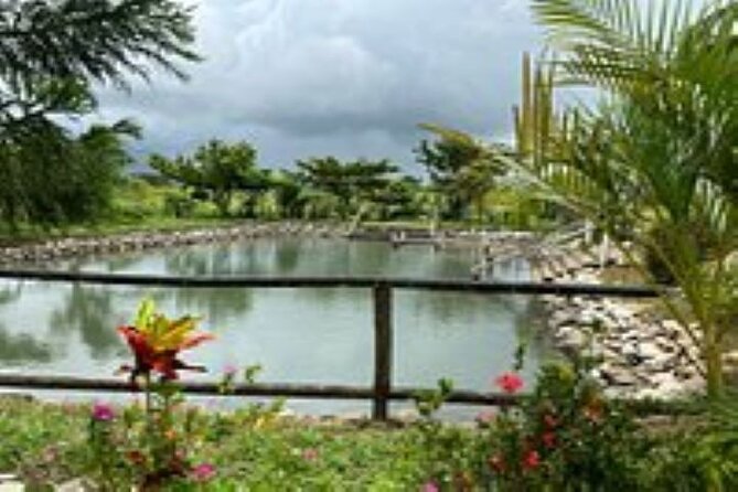 Private Tour: Best of Nadi Highlights - Accessibility and Additional Information