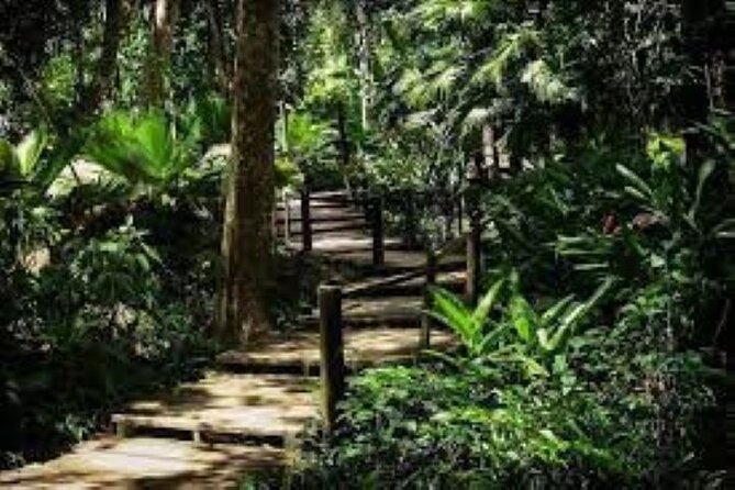 Private Tour: Best of Nadi Highlights - Garden of the Sleeping Giant