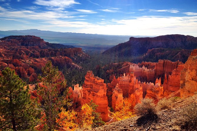 Private Tour: Best of the West 11-DAY National Parks Tour With Lodging - Health and Accessibility Requirements