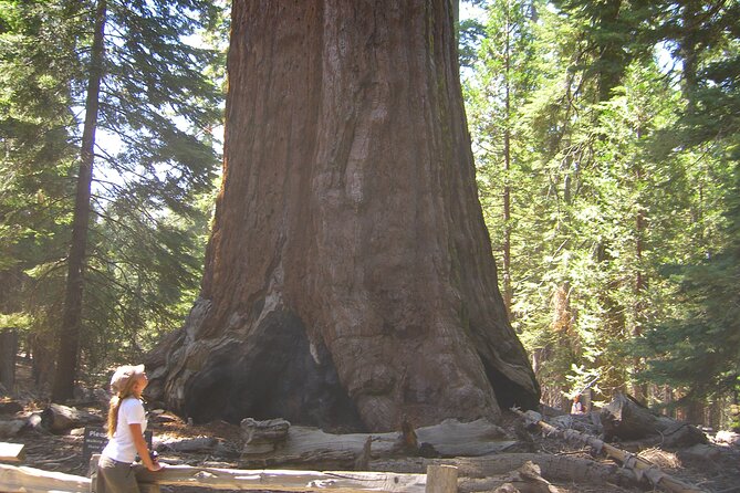 Private Tour: Best of the West 11-DAY National Parks Tour With Lodging - Discovering Natural Wonders