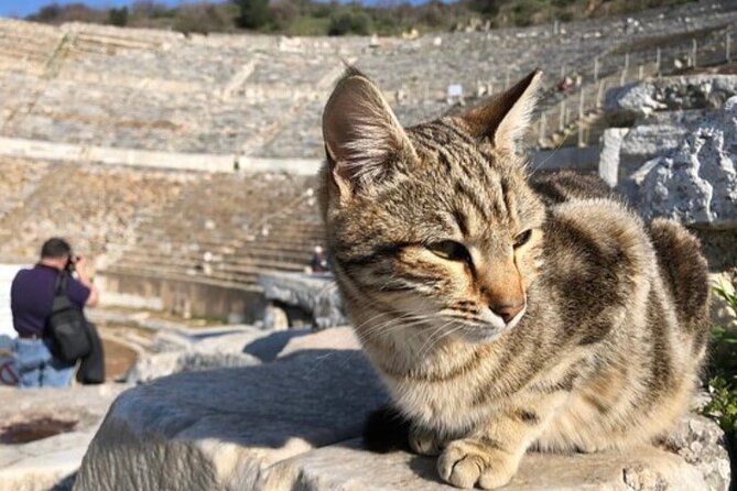 Private Tour : Biblical Ephesus Tour for Cruisers From Kusadasi ( Ephesus ) Port - Tour Schedule and Accessibility