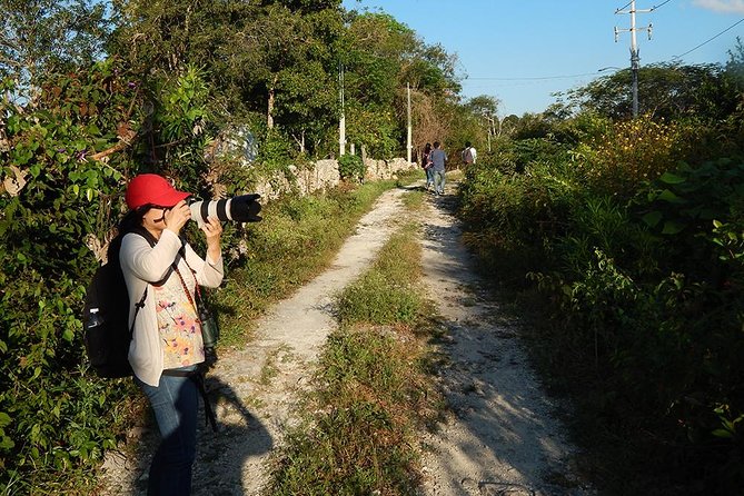 Private Tour: Birdwatching Playa Del Carmen - Included Tour Amenities