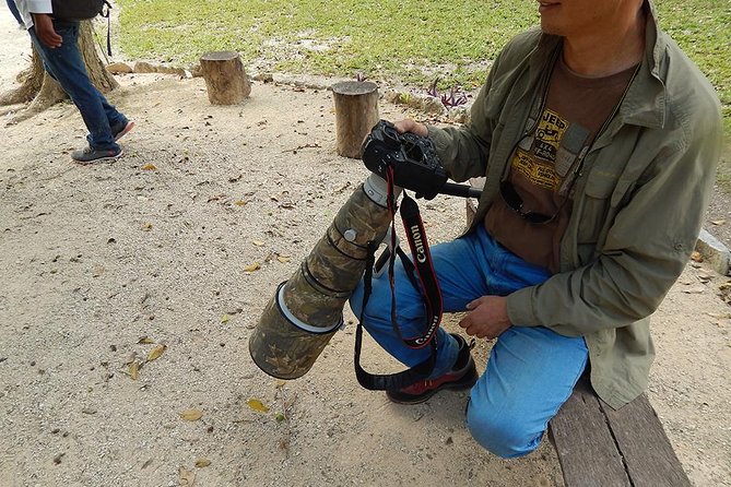 Private Tour: Birdwatching Playa Del Carmen - Frequently Asked Questions