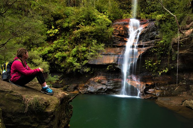 Private Tour Blue Mountains Day Adventure Wildlife + River Cruise - Group Size and Duration