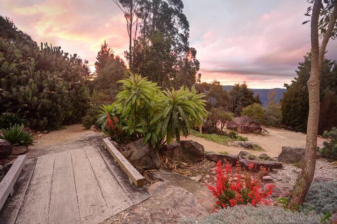 Private Tour: Blue Mountains Day Trip From Sydney - Key Points