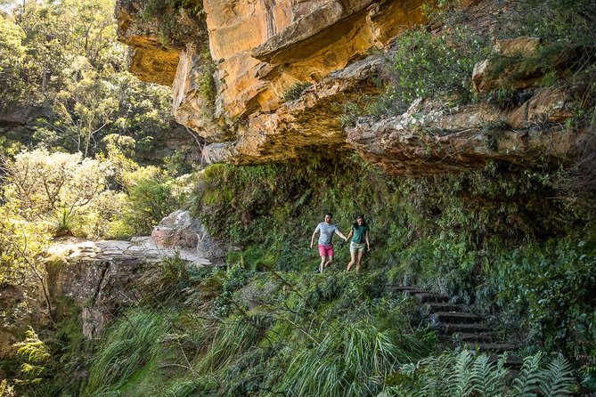 Private Tour: Blue Mountains Hiking & Nature - Customizable Itinerary for Groups