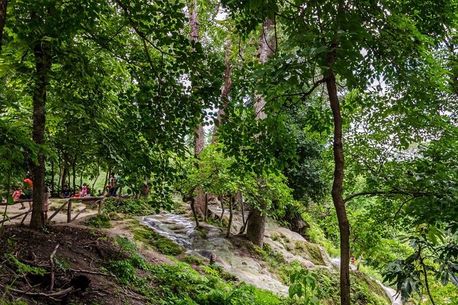 Private Tour: Bua Thong Sticky Waterfalls Tour - Tour Inclusions and Exclusions