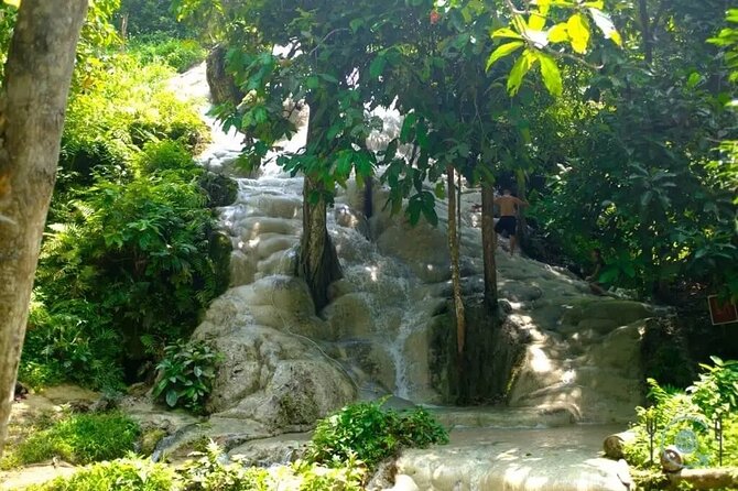 Private Tour: Bua Thong Sticky Waterfalls Tour - Waterfall Exploration