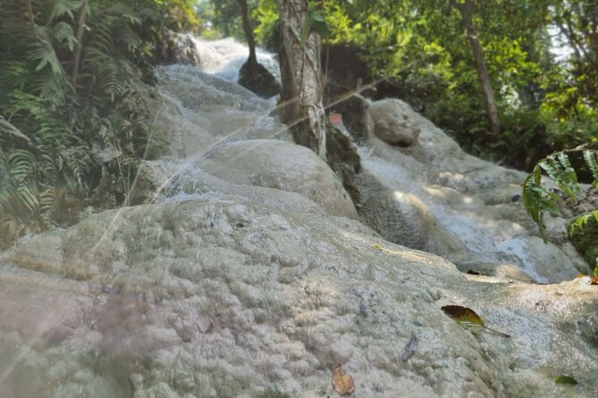 Private Tour: Bua Thong Sticky Waterfalls Tour - Reviews and Ratings