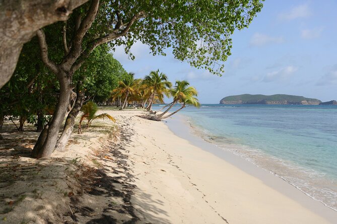 Private Tour Buccament Beach Saint Vincent and the Grenadines - Tour Conditions and Accessibility