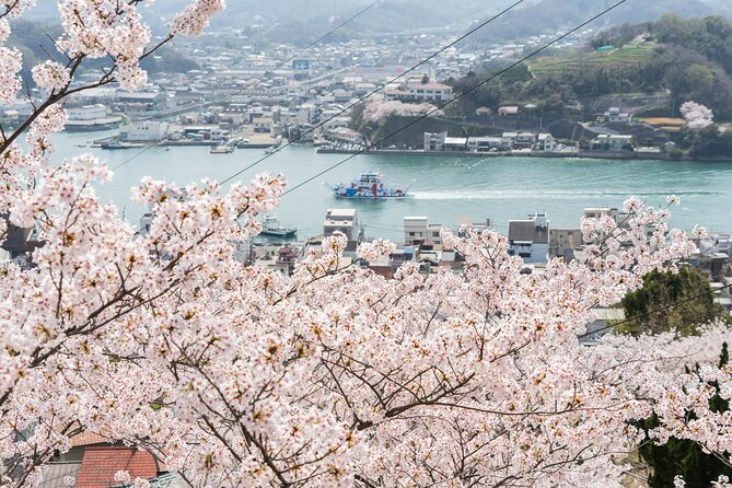 Private Tour by Hire: Onomichi Local Experience & Island Cycling - Meeting and Pickup