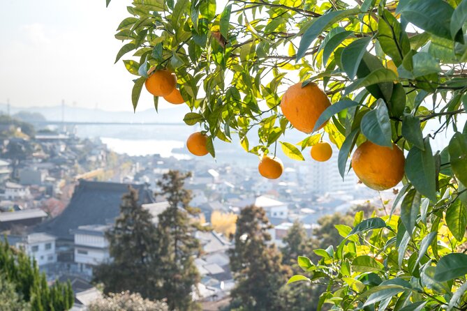 Private Tour by Hire: Onomichi Local Experience & Island Cycling - Hiroshima Highlights