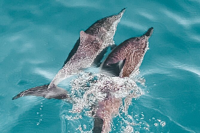 Private Tour by Luxury Boat on Boka Bay (Montenegro) - Cancellation Policy Details