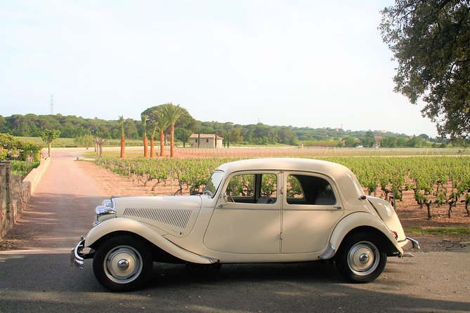 Private Tour by Private Car: Grasse, Cannes, Antibes - Discover Grasse, Cannes, and Antibes