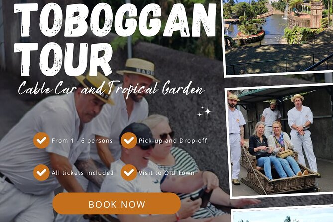 Private Tour Cable Car Toboggan Tropical Garden and Skywalk - Accessibility and Recommendations