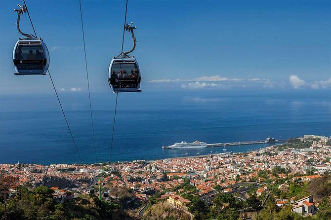 Private Tour Cable Car Toboggan Tropical Garden and Skywalk - Guest Reviews and Experiences