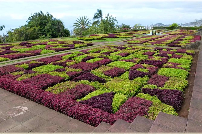 Private Tour Cable Car Toboggan Tropical Garden and Skywalk - Pricing and Booking Information