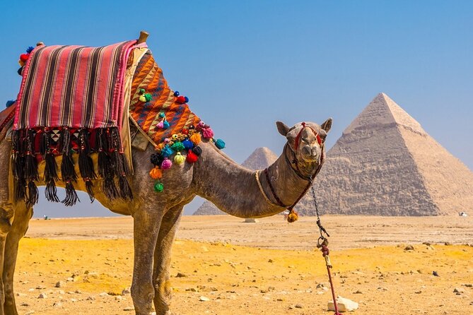 Private Tour: Cairo Day Trip From Hurghada, Including Round-Trip Flights, Giza Pyramids, Sphinx, and Egyptian Museum - Additional Information