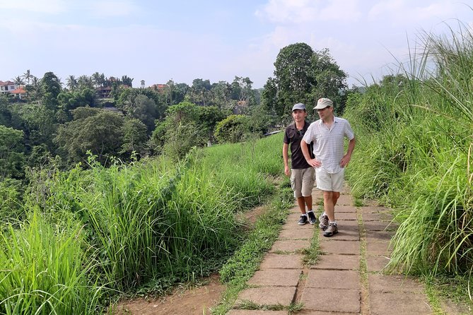 Private Tour: Campuhan Ridge Walk, Ubud Rice Terrace & Ubud Palace - Inclusions
