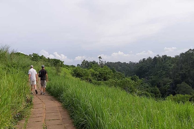 Private Tour: Campuhan Ridge Walk, Ubud Rice Terrace & Ubud Palace - Pickup and Departure Details