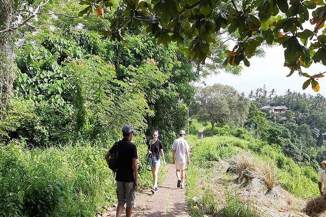 Private Tour: Campuhan Ridge Walk, Ubud Rice Terrace & Ubud Palace - Participant Information